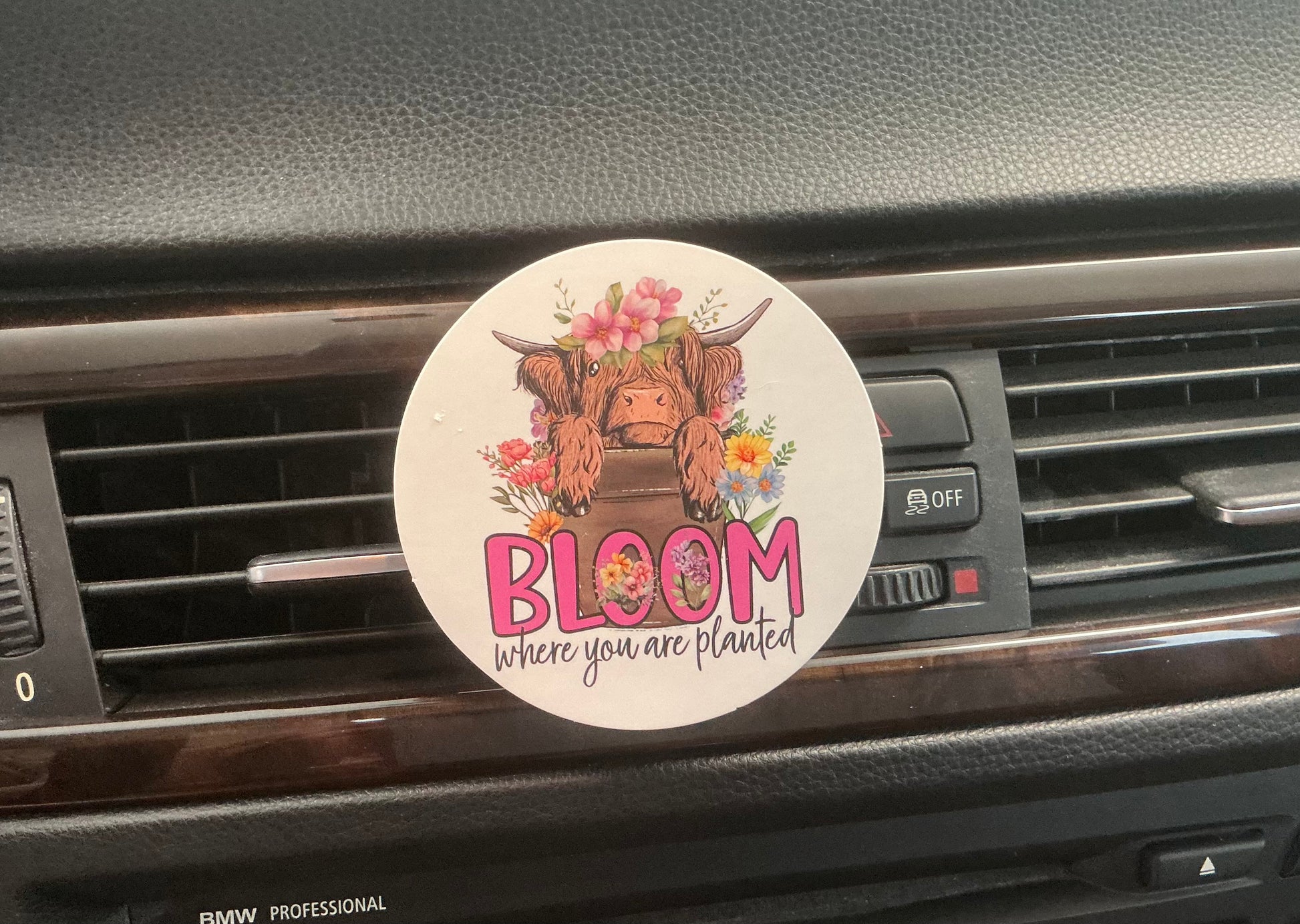 Freshie Air Freshener Vent Clips