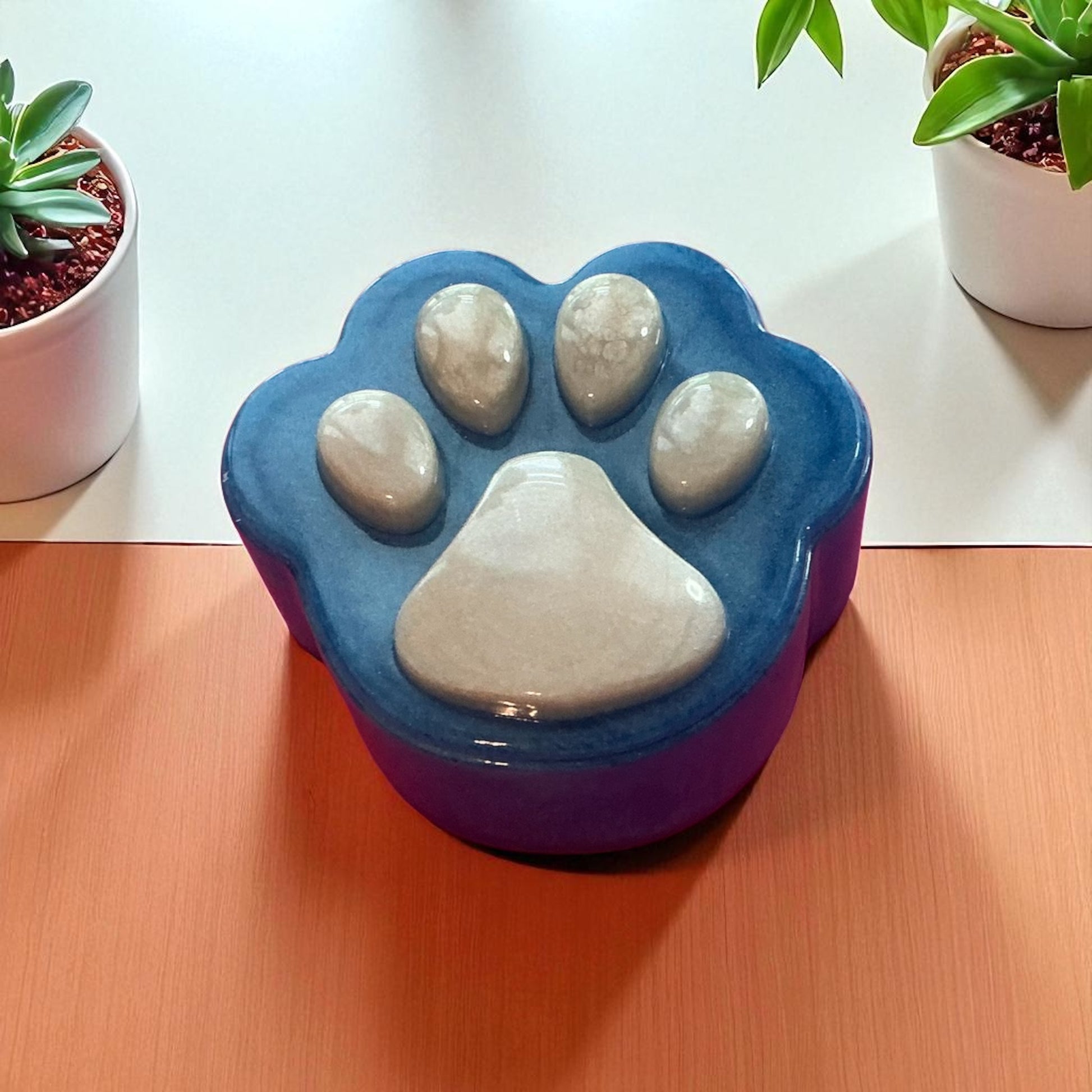 Paws Trinket Box